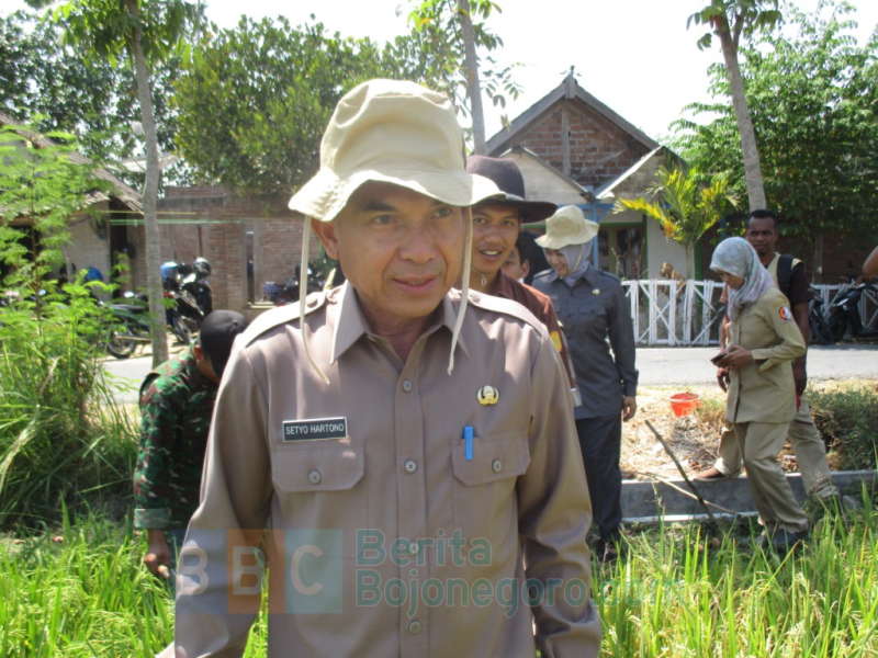 Petani Perlu Kembangkan Tanaman Sayuran