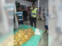 Di Sukosewu, Seorang Petani Tewas Tersambar Petir