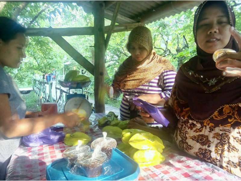 Menikmati Belimbing Ngringinrejo dengan Sambal Rujak