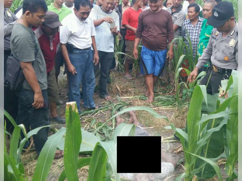Diduga Epilepsi Kambuh, Warga Baureno Ditemukan Tak Bernyawa di Ladang