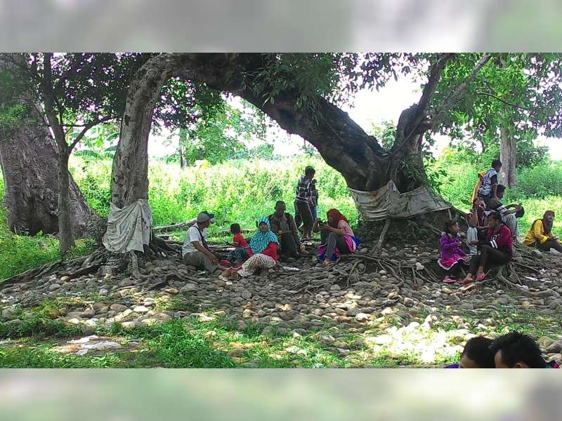 Juru Kunci Tepis Mitos Pohon Melengkung Bisa Awetkan Hubungan Asmara