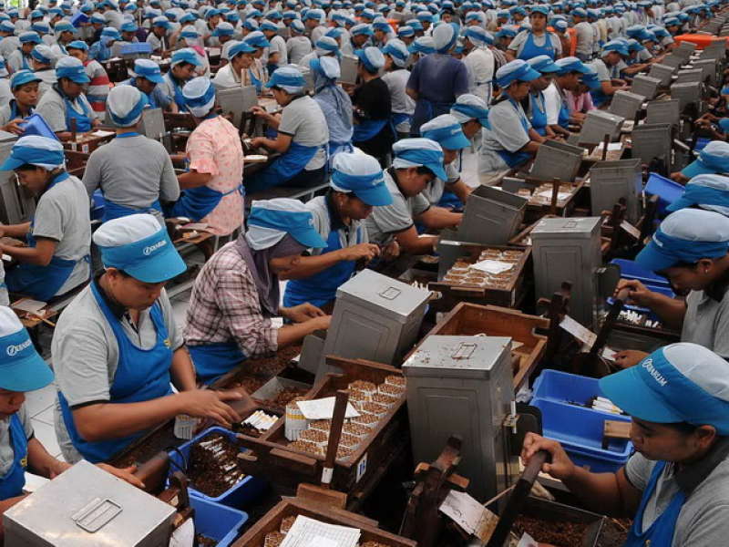 Perusahaan Rokok 369 Disegel, Pengangguran Bertambah