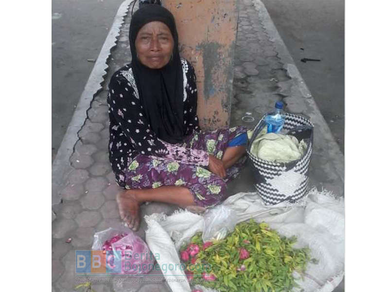 Saban Hari Jalan Kaki Puluhan Kilometer Jajakan Kembang Setaman