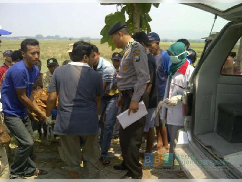 Seorang Warga di Kanor Meninggal Saat Cari Rumput Pakan Ternak
