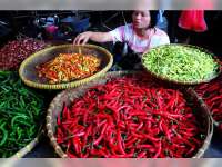 Harga Cabai di Pasaran Melejit