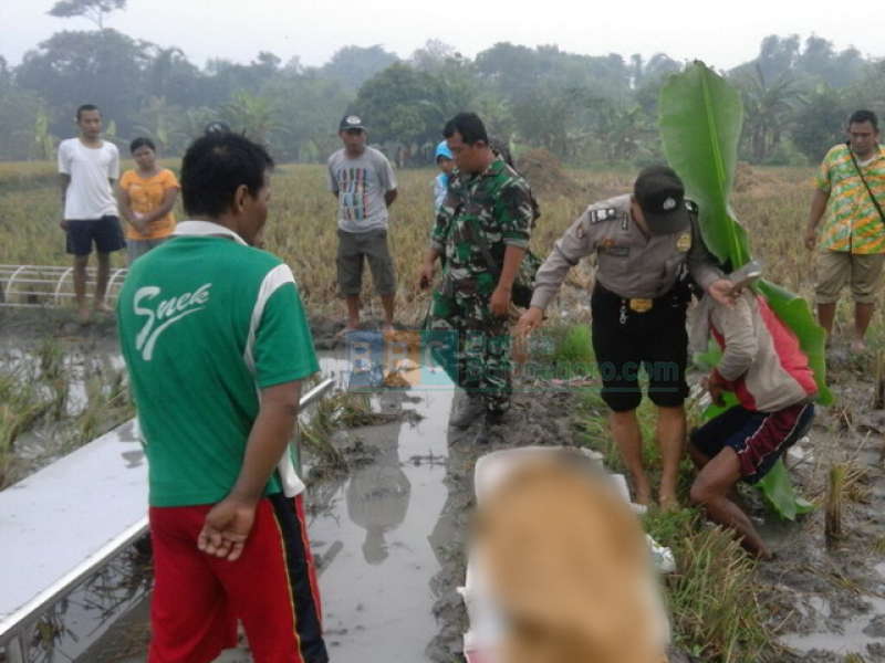 Lagi, Seorang Kakek 85 Tahun Ditemukan Meninggal di Sawah
