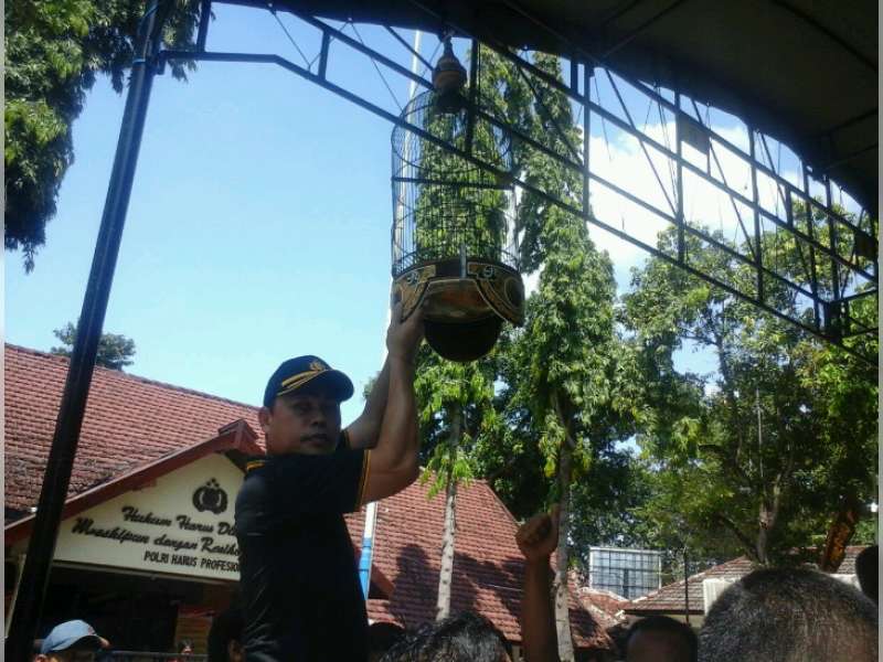 Kapolres Resmi Buka Lomba Burung Berkicau