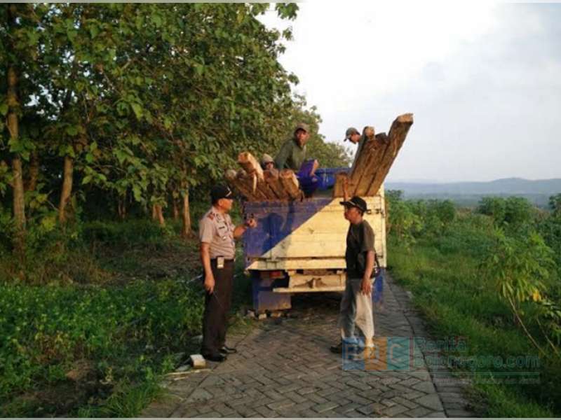 Dikejar Polisi, Maling Kayu Tinggalkan 10 Batang Jati Hasil Curian
