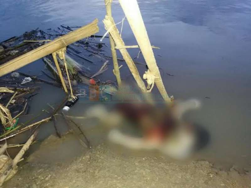Warga Ledok Kulon Temukan Mayat Bayi di Bengawan Solo