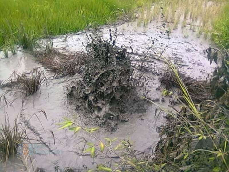 Hasil Uji Laboratorium Air Semburan Lumpur Gondang dari BLH Jatim Sudah Keluar