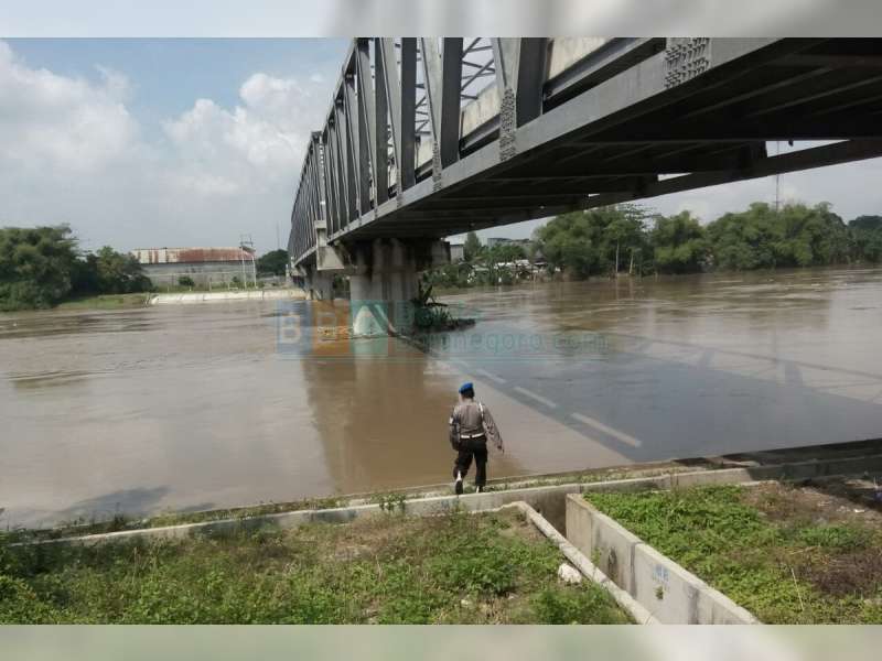 Status Tinggi Muka Air Bengawan Solo di Bojonegoro Kota, Masih Siaga Hijau