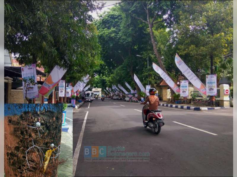 Spanduk Festival HAM Dipaku di Pohon, Langgar Perbup No 24 Tahun 2012