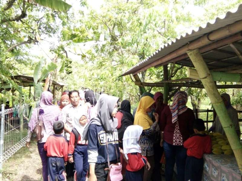 Liburan, Agrowisata Kebun Belimbing Ramai Pengunjung