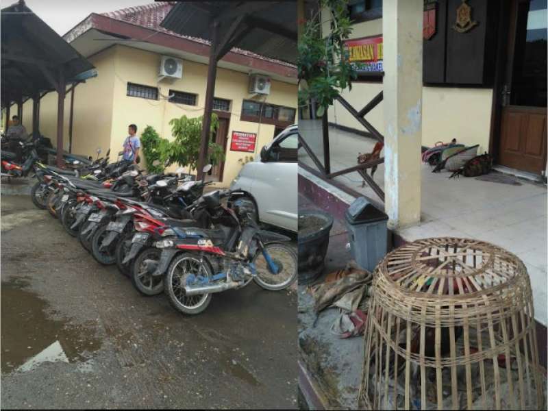 Pelaku Sabung Ayam Kabur, Tinggalkan 11 Motor Ini