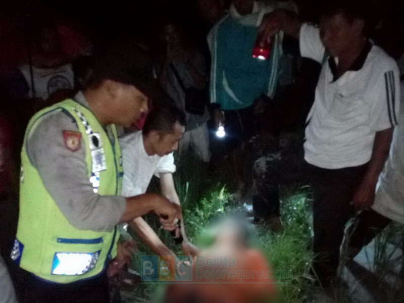 Lagi, Seorang Petani Tewas Tersambar Petir di Kapas
