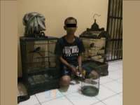 Kepergok Saat Beraksi, Maling Burung di Baureno Diamankan Polisi