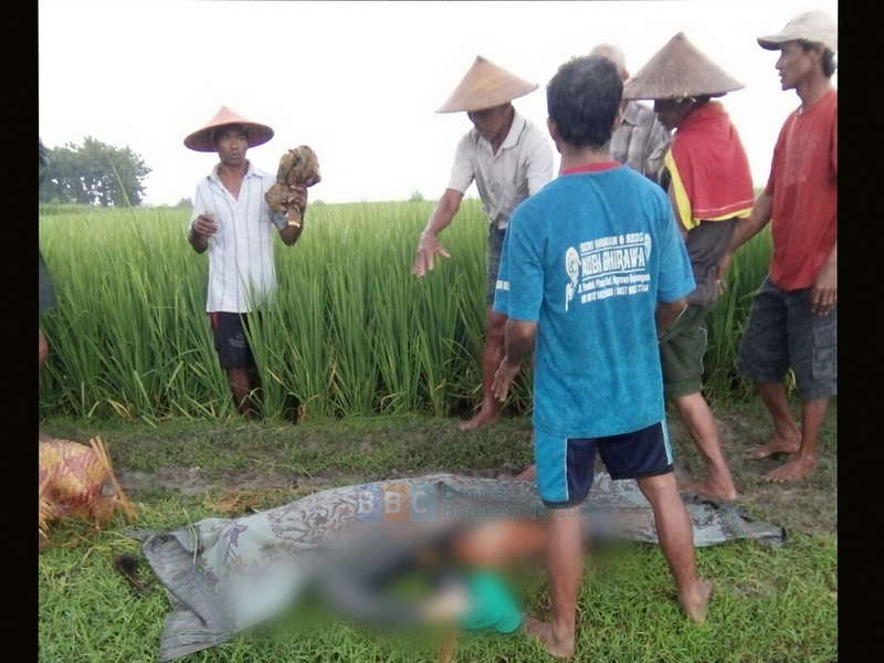 Sambaran Petir Kembali Bawa Korban Tewas di Sugihwaras