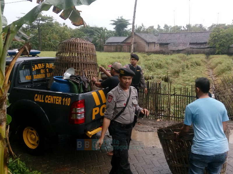 Polres Bojonegoro Gerebek Arena Sabung Ayam di Dander