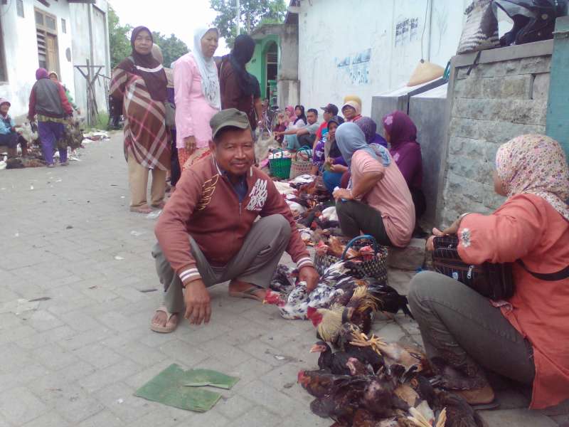 Pasar Ayam Tobo, Tiap Hari Transaksi Ratusan Ekor Ayam