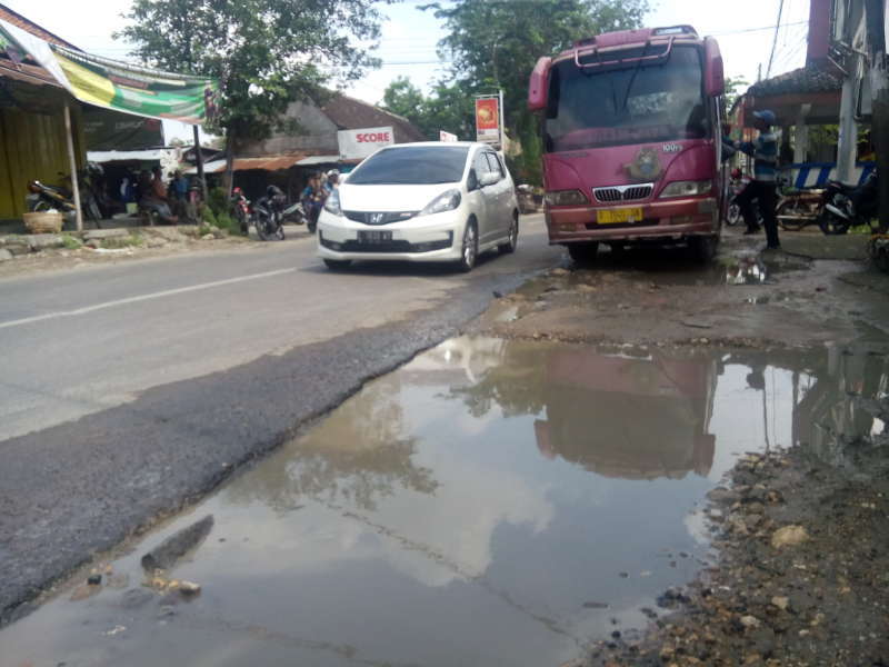 Jalan Raya Mulai Kalitidu Hingga Purwosari Rusak Berat