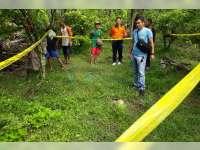 Seorang Pencari Rumput Temukan Tengkorak Manusia di Sekitar Kebun Belimbing Kalitidu