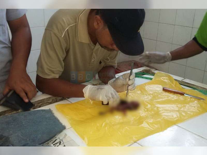 Mayat Bayi Laki-Laki Ditemukan di Kamar Mandi Terminal Rajekwesi Bojonegoro