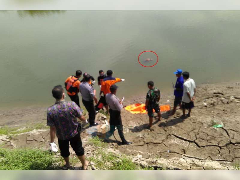 Seorang Kakek Warga Padangan Ditemukan Meninggal Dunia Terapung di Bengawan Solo
