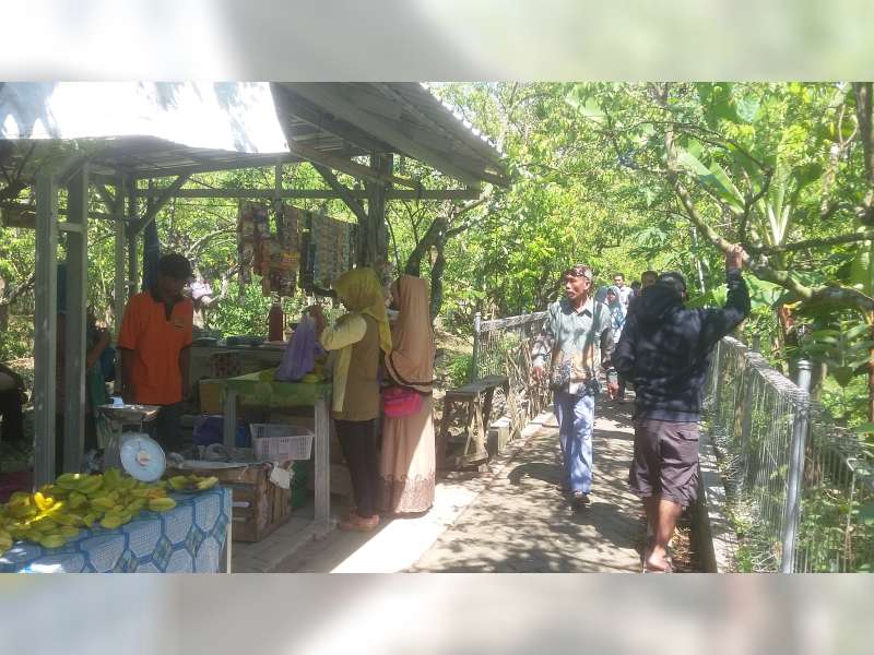 Libur Lebaran, Pengunjung Agrowisata Belimbing Ringrejo Naik 60 Persen