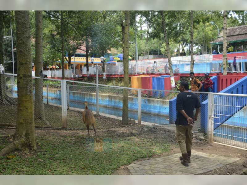 Tempat Wisata Taman Tirtonadi Jadi Alternatif Tujuan Wisata Warga Blora