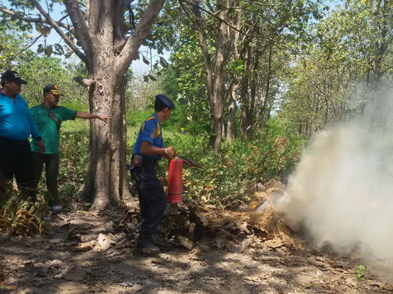 Pemkab Bojonegoro Himbau Kesiapan Hadapi Kebakaran Hutan dan Lahan