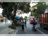 Truk Trailer Tabrak Traffick Light, Pohon Penghijaun, Tiang Telkom dan Lampu PJU
