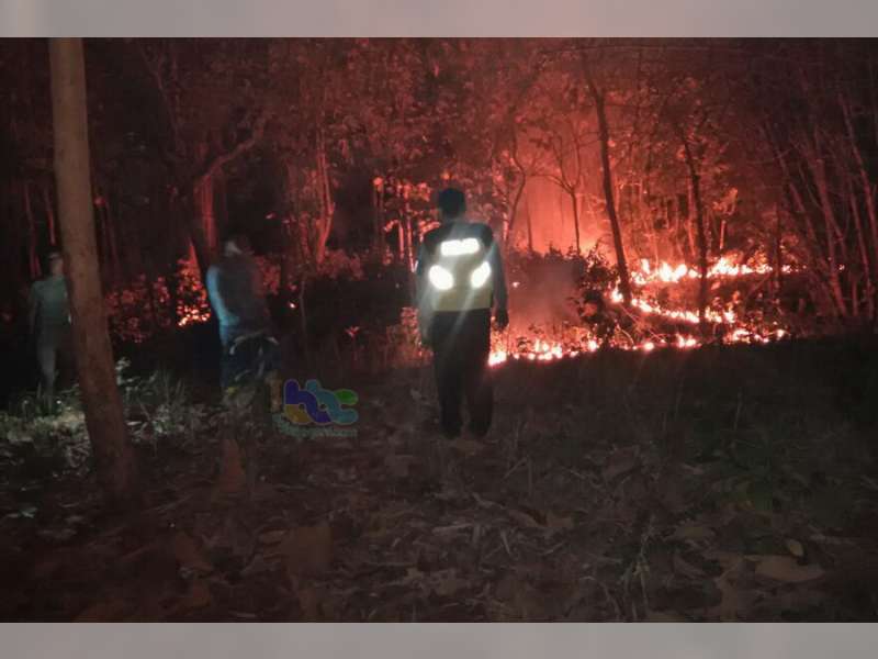 Kebakaran Rumpun Bambu di Trucuk Sempat Hebohkan Warga