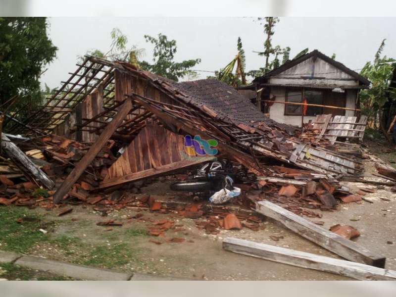 Hujan Angin di Kalitidu, 1 Rumah Roboh Ratusan Lainnya Rusak Ringan, 3 Orang Luka-Luka