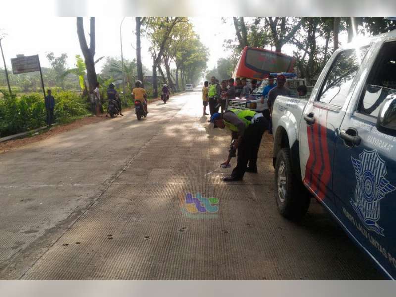 Bus vs Motor, Satu Orang Meninggal Dunia
