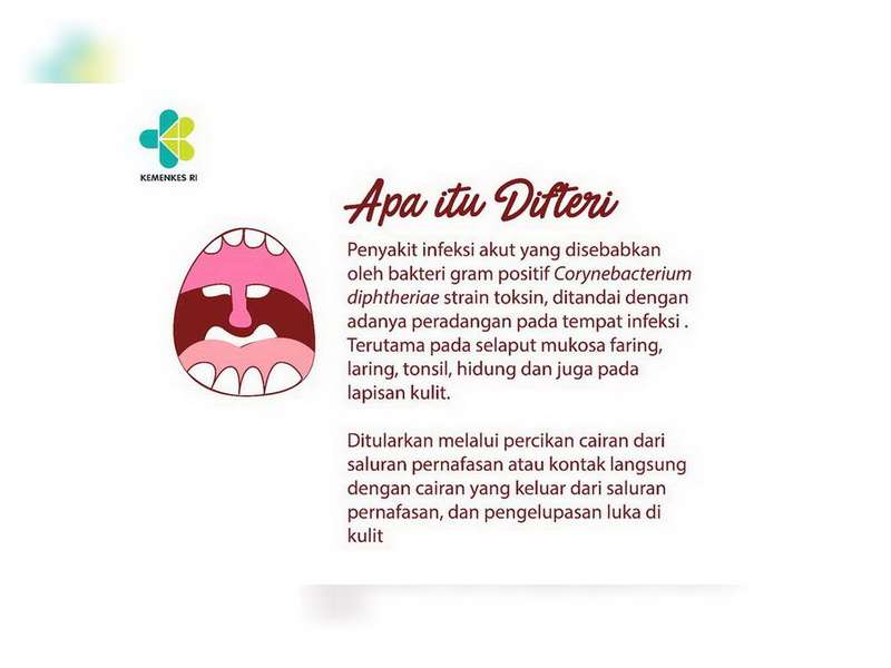 Sepanjang Tahun 2017, Bojonegoro Aman Dari Virus Difteri