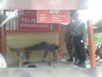 Diduga Serangan Jatung, Warga Ngawi Meninggal Dunia di Pos Perhutani Temayang