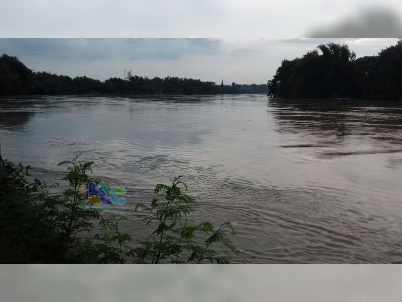 Bojonegoro Kota kembali Masuk Status Siaga Hijau, Trend Terus Naik