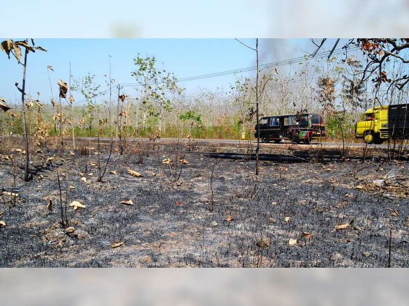 Minimalisir Potensi Kebakaran Hutan, Perhutani Blora Gunakan Aplikasi Android