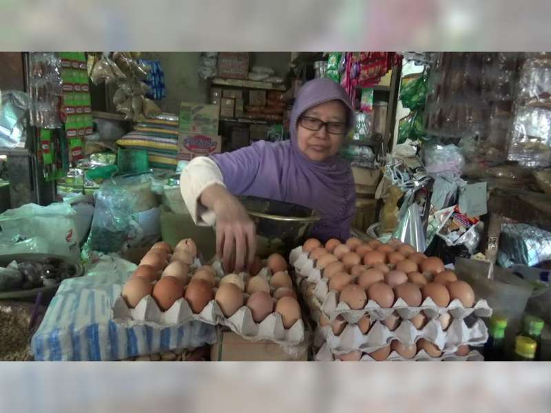 Harga Telur Ayam Broiler di Bojonegoro Melambung