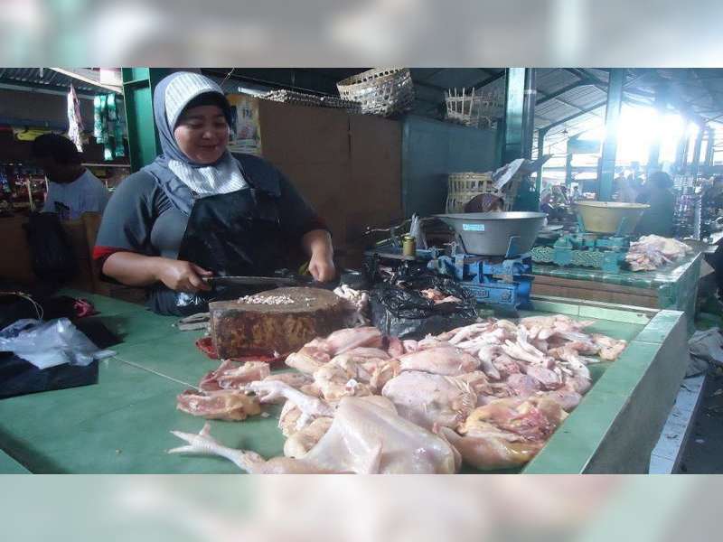Harga Daging Ayam Potong dan Ayam Kampung Ikut Melambung