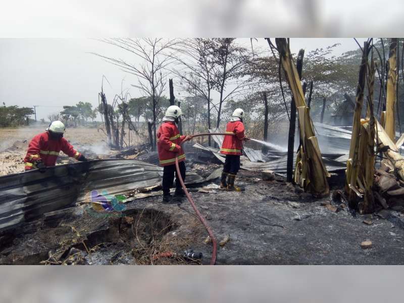 Bangunan Kandang Burung Puyuh Yang Telah Lama Kosong di Dander Bojonegoro Terbakar