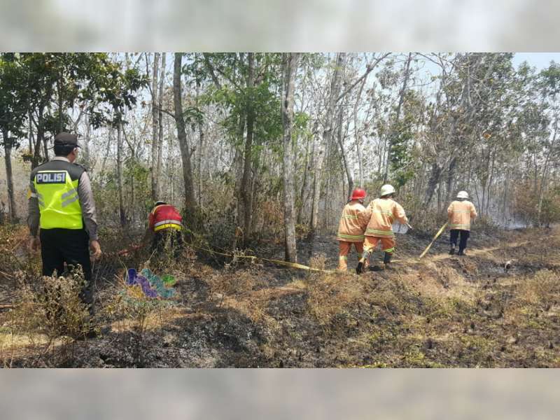 Kebakaran Semak Terjadi di Baureno Bojonegoro, Diduga Akibat Pembakaran Sampah