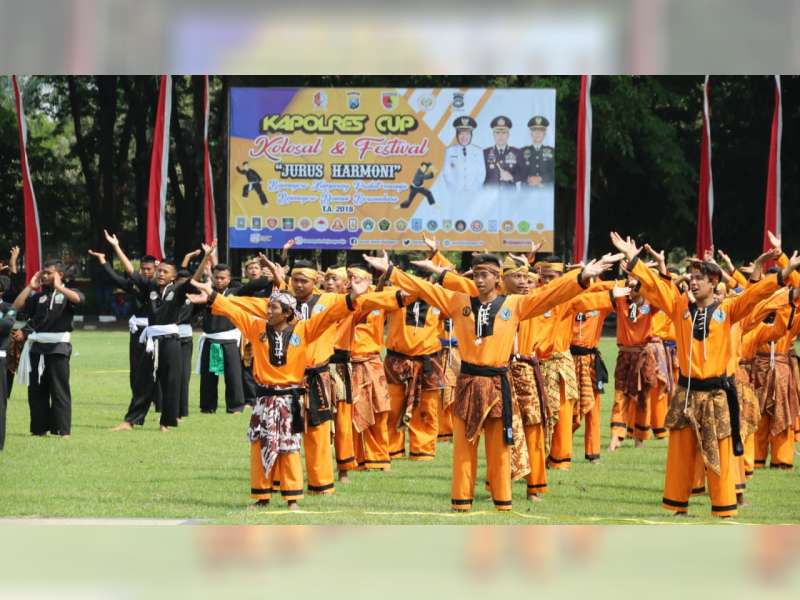 Festival Jurus Harmoni Bojonegoro Kampung Pesilat Diikuti 20 Perguruan Silat