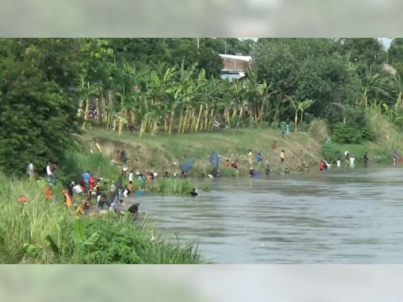 Ratusan Warga di Bantaran Sungai Bengawan Solo Bojonegoro, Panen&nbsp;Ikan&nbsp;Mabuk