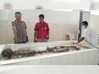Kerangka yang Ditemukan di Hutan Temayang Bojonegoro, Diduga Seorang Gelandangan