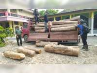 Perhutani Bersama Polres Blora Amankan 45 Batang Kayu Jati, Diduga Hasil Curian