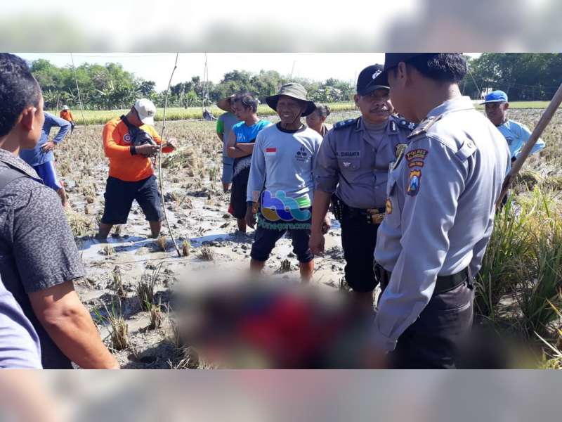 Warga Rengel Tuban Meninggal Dunia saat Cari Jerami di Area Pesawahan Kanor Bojonegoro
