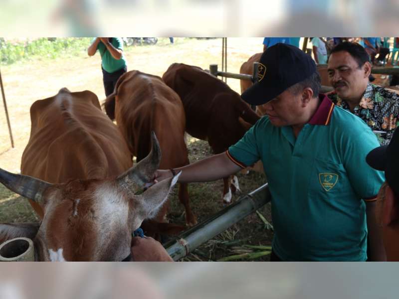 Berikut ini Pemenang Lomba Ternak Sapi dan Kambing Kabupaten Blora