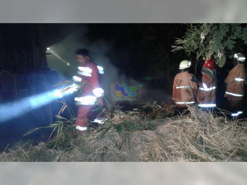Akibat Bakar Sampah, Tumpukan Jerami Pakan Ternak Milik Warga Gayam Bojonegoro Terbakar