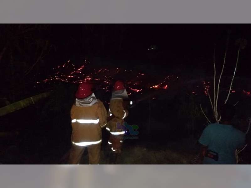 Akibat Pembakaran Sampah, Kandang Ayam Milik Warga Kedungadem Bojonegoro Ludes Terbakar